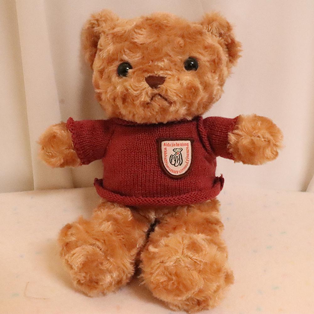 25cm Cute Wear Sweater Teddy Bear Plush Toys Adorable Stuffed Animal with Soft Twisted Teddy Bear Perfect Gift for Girls or Kids