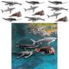 Realistic Ocean Animal Models Set Including Mythical Dragon Whale Shark And Sea Lion For Educational Play