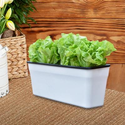 Rectangle Self Watering Planter Flower Pot Breathable Practical Window Sill for Indoor