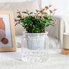 Eleganckie Półprzezroczyste Hydroponiczne Doniczki Ogrodowe z Efektywną Kontrolą Wilgoci Odpowiednie dla Sukulentów Bonsai