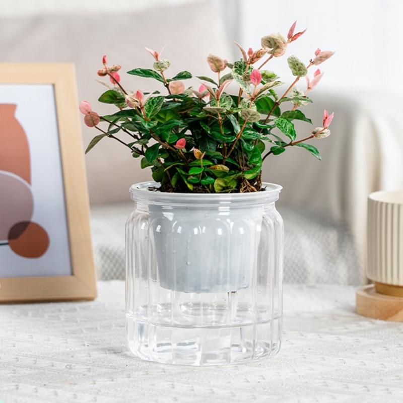 Eleganckie Półprzezroczyste Hydroponiczne Doniczki Ogrodowe z Efektywną Kontrolą Wilgoci Odpowiednie dla Sukulentów Bonsai