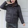 Daunenjacke Damen Kurzstil 2024 Neu Winter Stehkragen Warm Weiße Entendaunen
