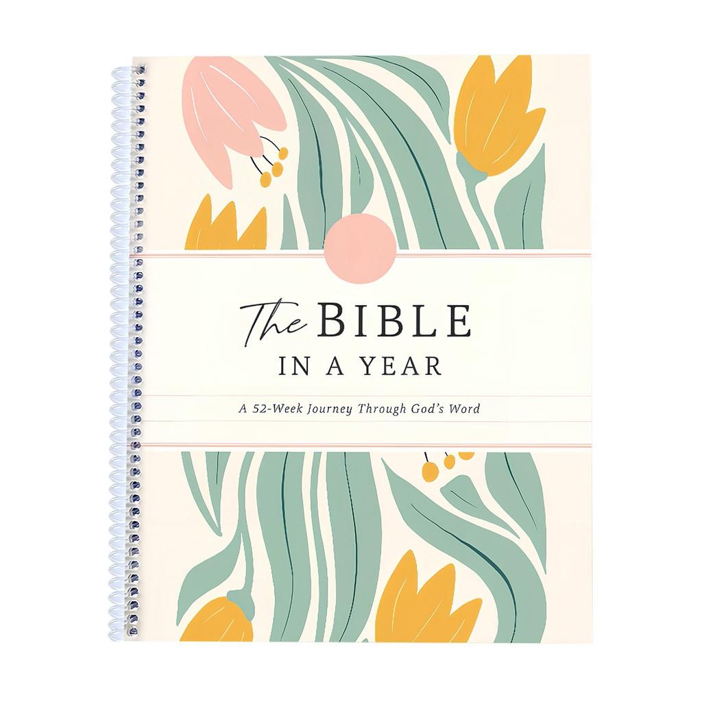 Handbook, Practical Guide To Understanding Biblical Teachings And Stories