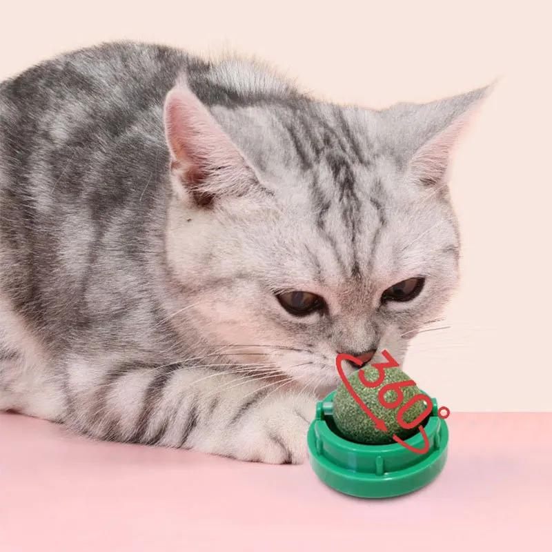 Škrabadlo na trávu pro kočky Produkty pro domácí mazlíčky Kočičí doplňky Přírodní šanta kočičí Zdravé misky Škrabadlo Pamlsky Hračky Nástěnná lepkavá koule