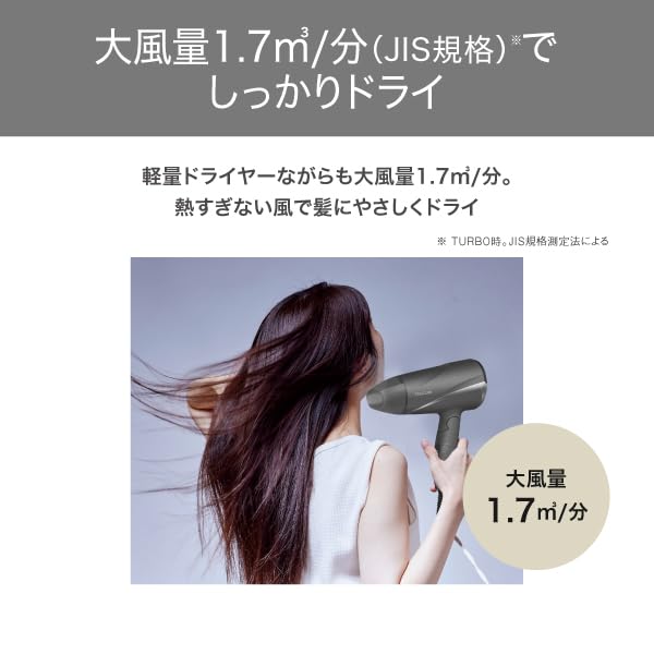 Tescom Hair Dryer Protect Ion Foldable Large Air Volume Lightweight Air Easy Plug Gray Cold/Hot TD360A-H