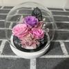 Eternal Flower Spherical Glass Cover Rose Sunflower Gift Christmas Valentine's Day Gift Eternal Flower Spherical