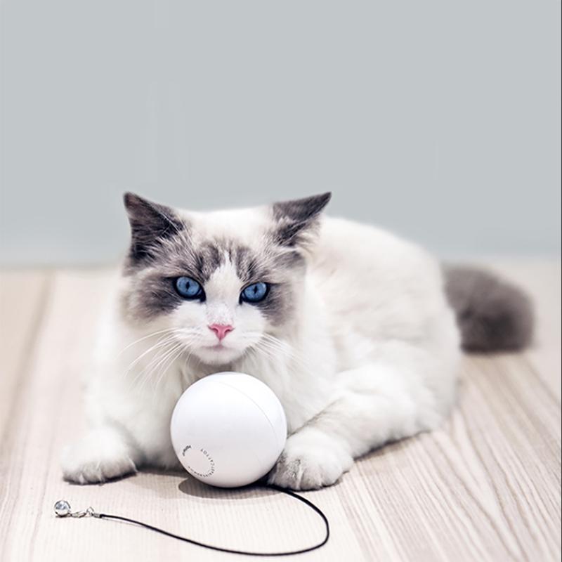 intelligent cat toys