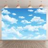 1pc, 2D Flat, Blue Sky and White Cloud Polyester Backdrop, Multi-functional Party Decoration Banner, Photography Studio Backdrop