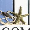 Coastal Welcome Door Sign Nautical Beach Theme Wooden Hanging Plaque with Rope Rustic Door Hanger for Front Door Patio Wall Decor