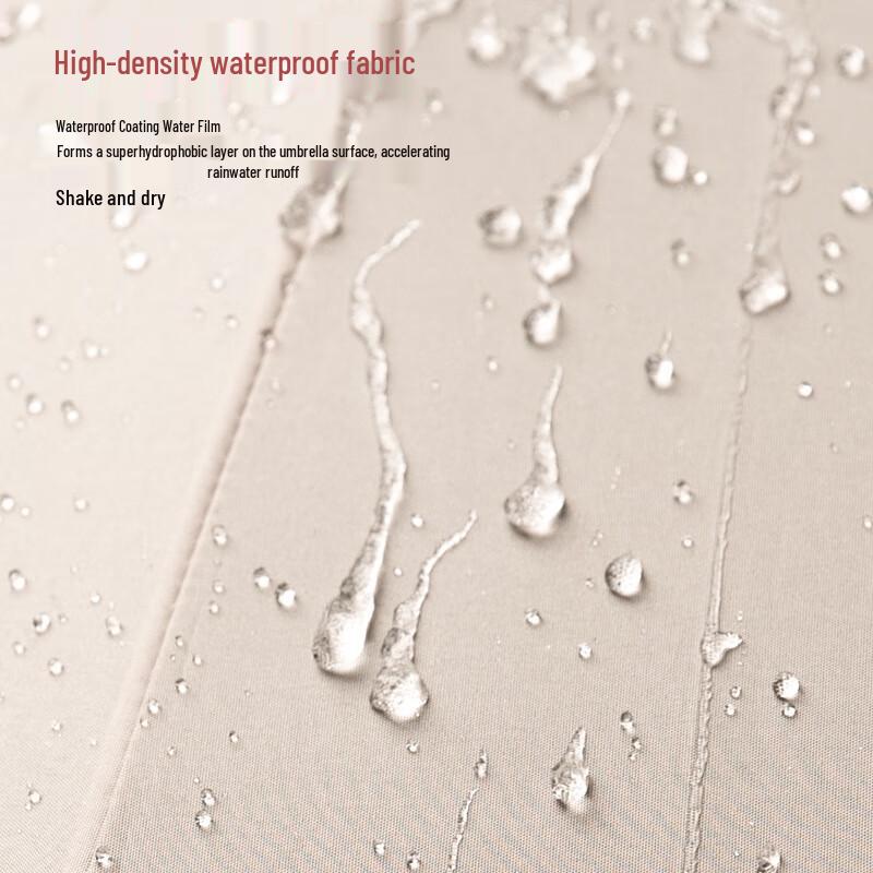 Fully Automatic 10-Rib Business Travel Umbrella