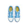 Nike Dunk Low 'Coast' Women's DD1503-100