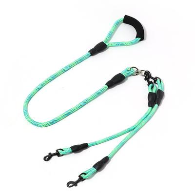 Perros – Collares y correas