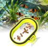 Aquarium Feeding Ring Fish Tank Station Floating Food Tray Feeder Square Circle Accessories Fish Foods Feeder Suction Cup