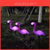 Lâmpada de Flamingo Solar Impermeável Decoração de Jardim Com Luz LED Para Uso em Gramado e Pátio