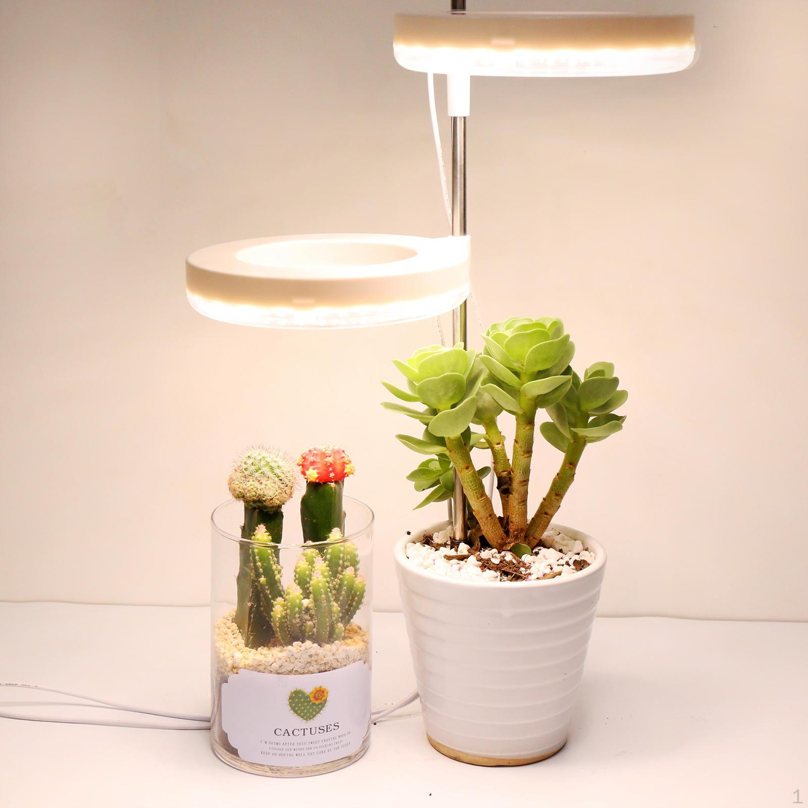 

Light Dimmable Brightness Sunlight for Home Use Indoor Winter Hydroponics 2 Head Solar Light