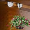 Set Of 20 Ceiling Hooks Hanging Lamp Hooks Plant Hanger Hooks Multipurpose for Easy  Installation Of Hanging Items