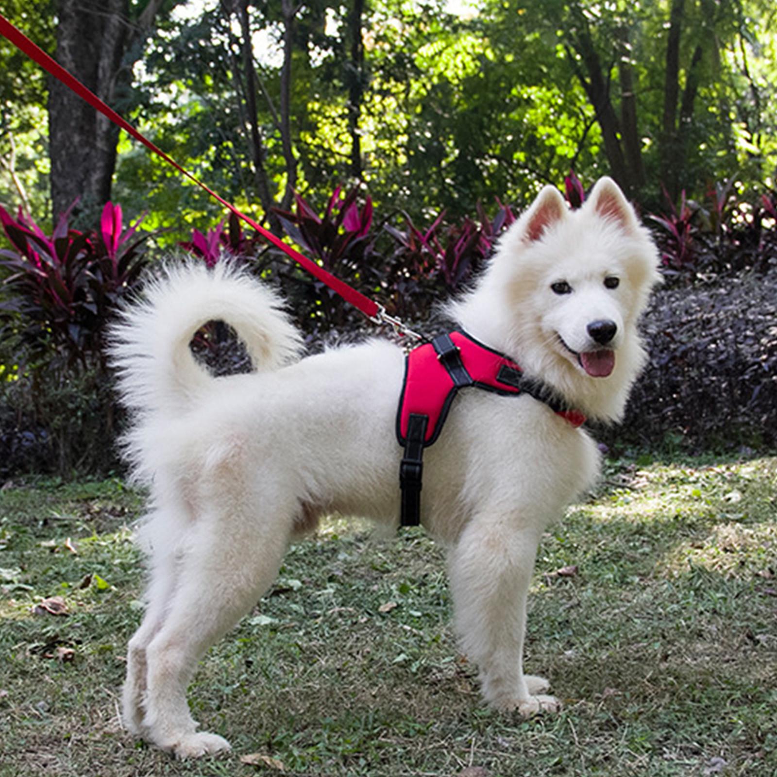 

Шлейка для собак, регулируемый жилет для домашних животных, светоотражающий оксфордский нагрудный ремень для тренировок на прогулках средних и больших собак L красный