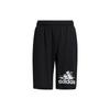 Adidas Kids Shorts Moderate HE2546
