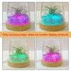 Round Wooden LED Light Base Multicolor USB Display Night Lamp Holder  Bars