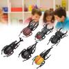 6pcs Simulation Beetle Insect Model Halloween Trick Props NonToxic PVC Insect Toy(Black )