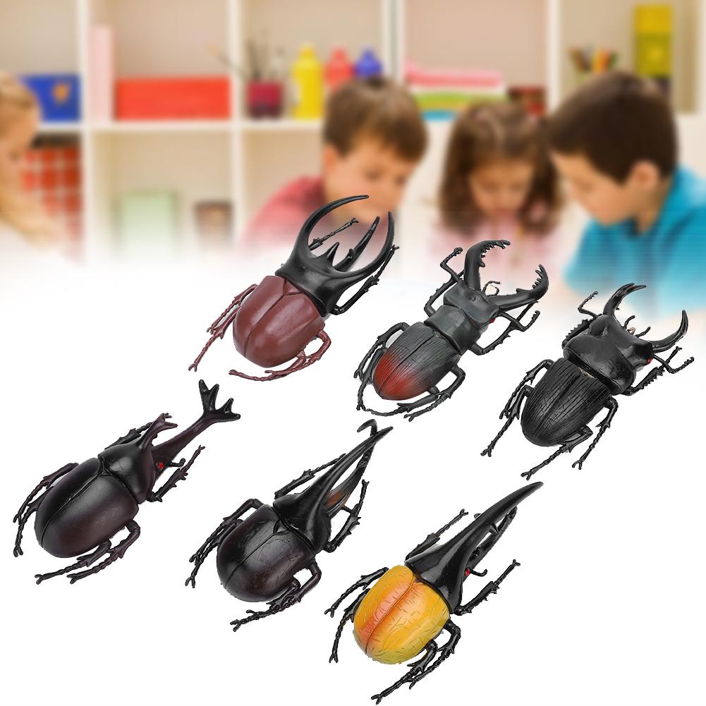 6pcs Simulation Beetle Insect Model Halloween Trick Props NonToxic PVC Insect Toy(Black )