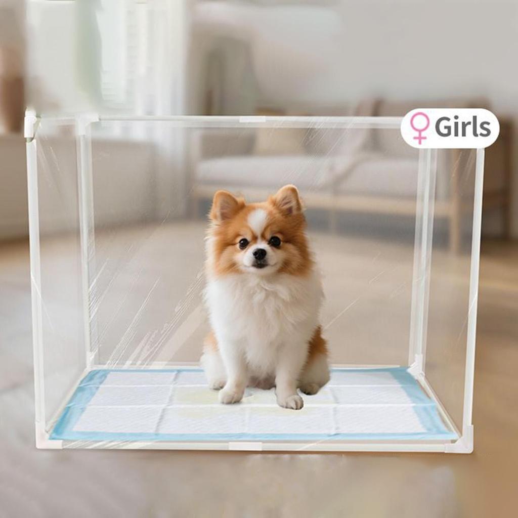 Cat Litter Box Pee Shield Foldable Easy Clean Litter Pan Shield Transparent High Sided Cat Toilet Training Kit For Living Room