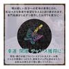 [Gekkodo] [Great Luck Rainbow Butterfly Amulet] Good Luck Magical Amulet Butterfly That Gives You a Great Chance To Change Your Life Stainless Steel