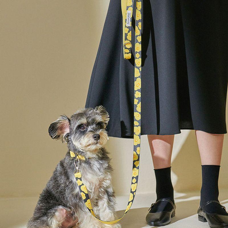 foreverybari Pansy Rishi_Yellow