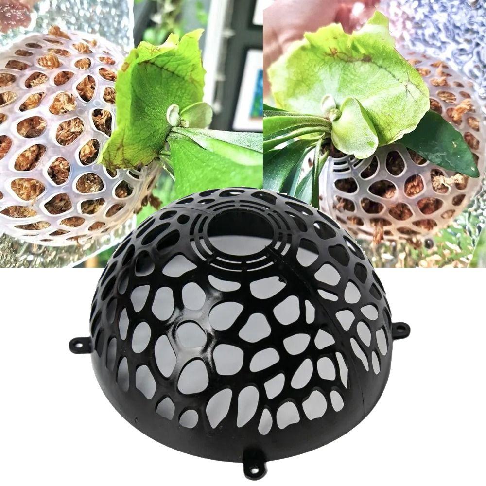 Reusable Plants Soil Protector Cover Plastic Hollowed Plant Support Transparent Garden Tools Transparent Floral Hole Cover