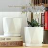 Elegant White Ceramic Flower Pot with Tray - Ideal for Ivy, Spider Plants, and Succulents