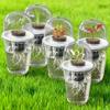 Plant Propagation Station Seeds Starter Hydroponic Planter Transparent Plant Germination Cup with Seedlings Basket Dome Lid for Potato Succulents