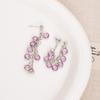 Suitable For Spring And Summer Flash Grape String Fringed Earrings, High-End Rear-Hanging Stud Earrings, Light Luxury And Beautiful Earrings, Women
