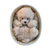 Plush Stuffed Animal Toy with Woven Basket Bed for Children's Gift Decorative Soft Doll