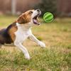 Pet Dog Toy Interactive Rubber Balls for Small Large Dogs Puppy Cat Chewing Toys Pet Tooth Cleaning Indestructible Dog Food Ball
