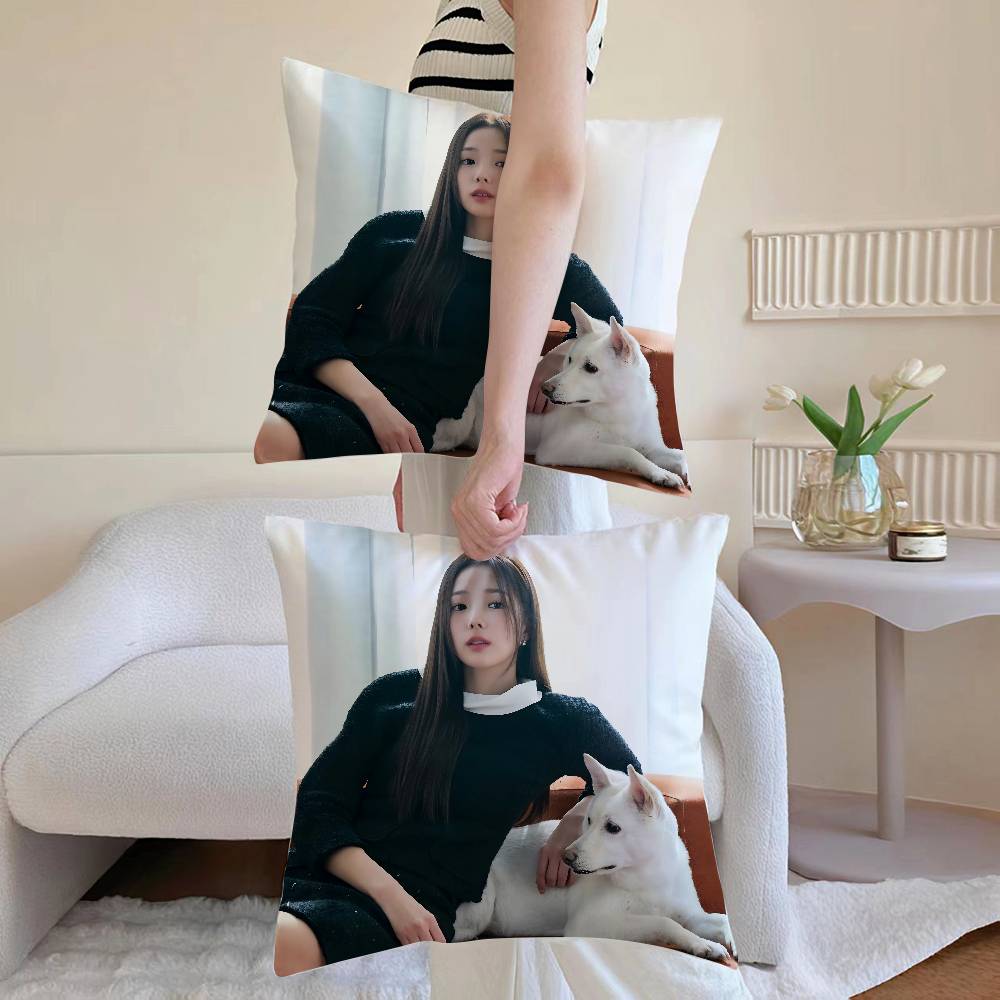 Chae S-Soo-bin Pillow Case Sofa and Living Room Decorative Cushion Covers Dust-proof and Mite-proof Invisible Zipper