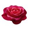 Diatomaceous Earth Bath Mat Non-Slip Absorbent Floor Mat Easy To Clean Quick-Drying Irregular Floral Design Entrance Rug