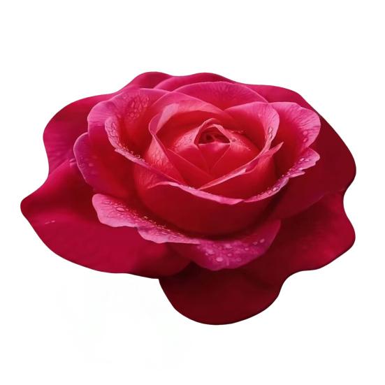 Diatomaceous Earth Bath Mat Non-Slip Absorbent Floor Mat Easy To Clean Quick-Drying Irregular Floral Design Entrance Rug