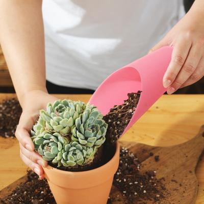6 Pcs Gardening Soil Scoops Mini Potting Scoops Funnel Design Transplanting Scoops Garden Shovels for Succulents Flowers