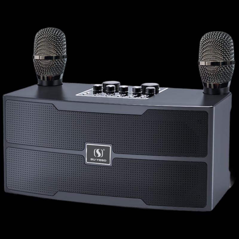 Ally U-Band Wireless Karaoke Speaker System