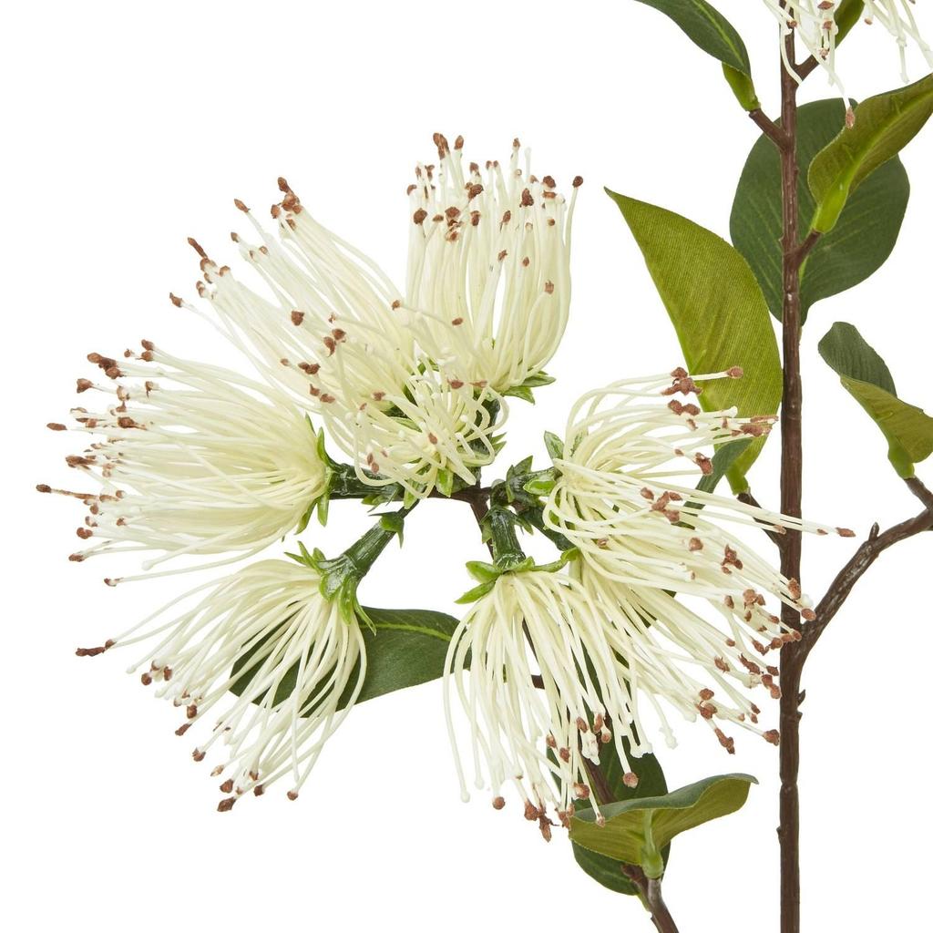 Hill Interiors Protea Nitida Stem Artificial Flower Spray