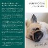 DOGGY POTION Dog Conditioner and for Sensitive Green Apple Natural Fresh Shampoo for Dogs and Large Dilutable Veterinarian-Recommended Treatment,