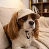 Adjustable Dog Sun Hat Sun Protection Pet Visor Hat Stylish Summer Cat Cap  Outdoor Use