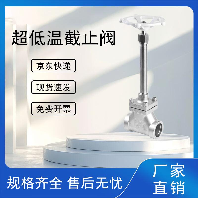 Yonghao Yinghong 304 SS Ultra-Low Temperature Globe Valve