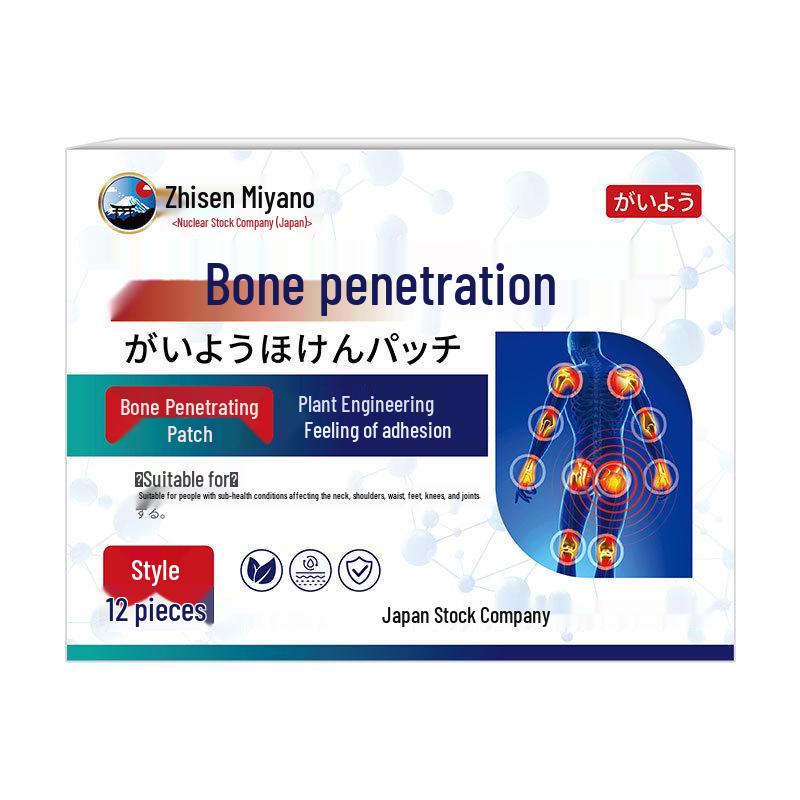 Zhisen Meiye Japanese Pain Relief Patch for Neck, Shoulder, Waist & Leg