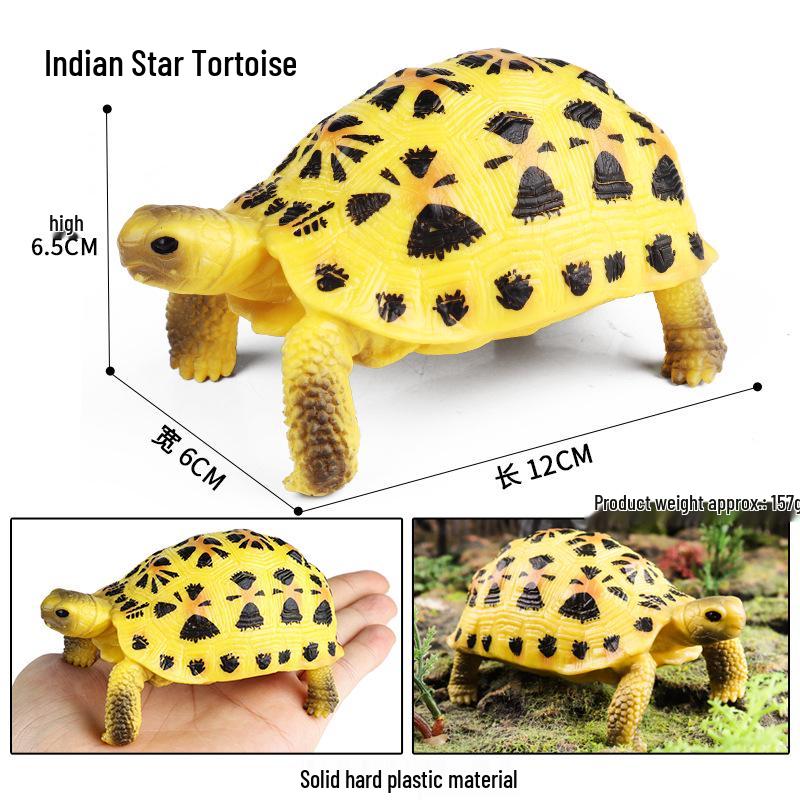 Children's Cognitive Marine Animal Models: Sea Turtle and Tortoise Toys