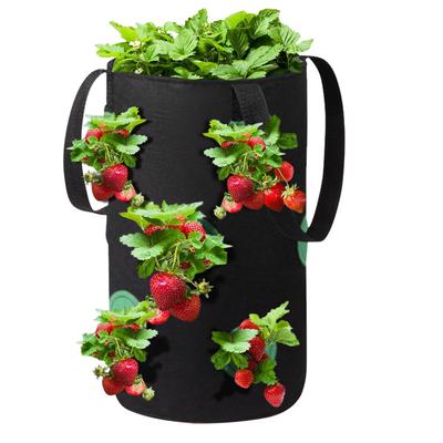 1 sac de plantation de fraises suspendu en feutre épais