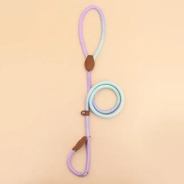 New Vibrant and Stylish Dog Leash for Safe and Fashionable Walks - Durable and Adjustable, Perfect for Small To Medium-Sized Dog