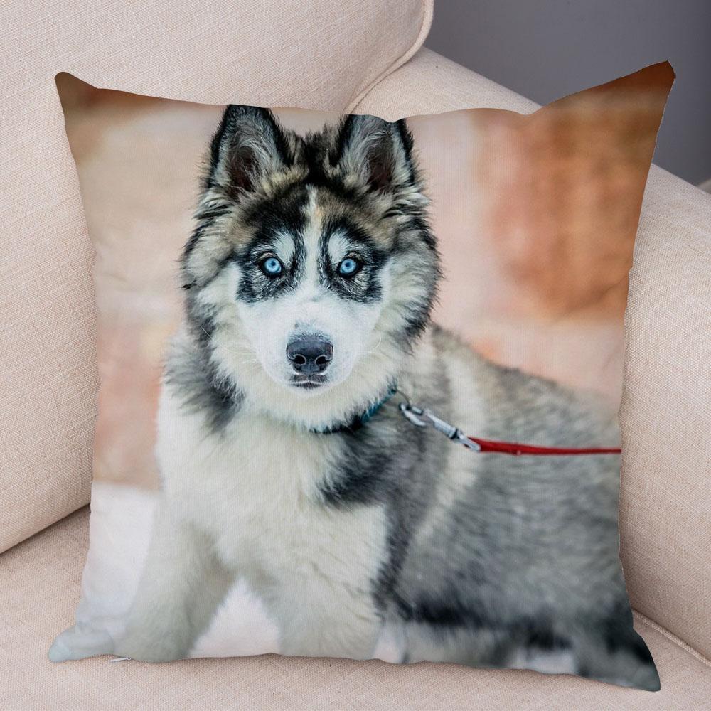 Pet Animal Sofa Cushion Cover Cute Siberian Husky Pillowcase Decorative Dog Print