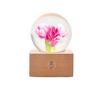 Unique Hot Item 2026 Trends New Years Innovative Product Ideas In Latest Real Flower Night Light Holiday Festival Gift Set