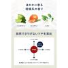 UNITED ARROWS BEAUTY Hair Oil Styling Oil 100ml